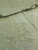 [thumbnail of Picture 25]