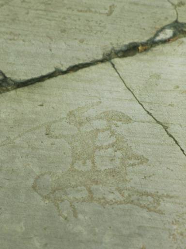 ImageImage0047.web.jpg