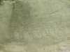 [thumbnail of Picture 28]