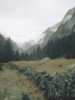[thumbnail of Picture 34]