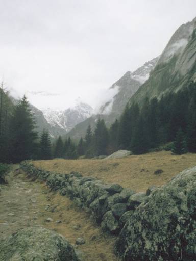 ImageImage0056.web.jpg