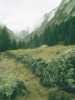[thumbnail of Picture 1]
