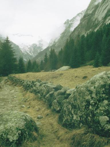 ImageImage0057.web.jpg