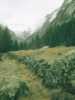 [thumbnail of Picture 2]