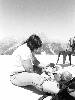 [thumbnail of Picture 5]