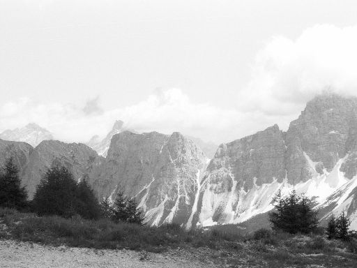 Image2367.web.jpg