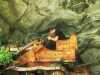 [thumbnail of Picture 3]