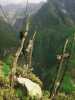 [thumbnail of Picture 6]