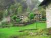 [thumbnail of Picture 9]