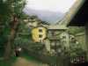 [thumbnail of Picture 11]