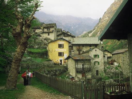Image0296.web.jpg