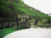 [thumbnail of Picture 14]