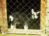 [thumbnail of Picture 16]