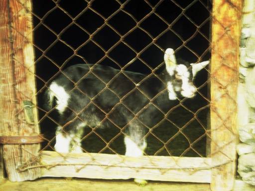 Image0301.web.jpg