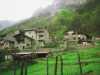 [thumbnail of Picture 17]