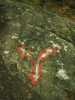 [thumbnail of Picture 19]