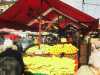 [thumbnail of Picture 5]