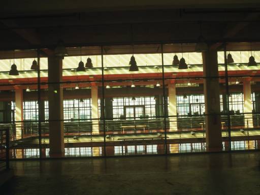 Image0331.web.jpg