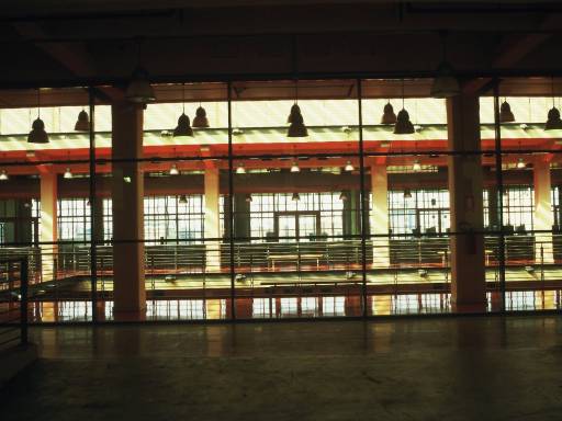 Image0332.web.jpg