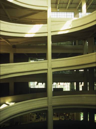 Image0334.web.jpg