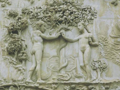 ImageImage0011.web.jpg