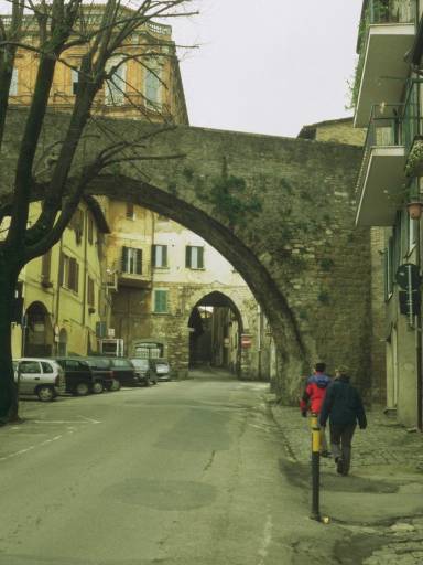 ImageImage0019.web.jpg