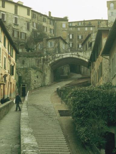 ImageImage0028.web.jpg
