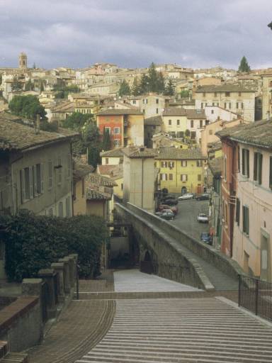 ImageImage0030.web.jpg