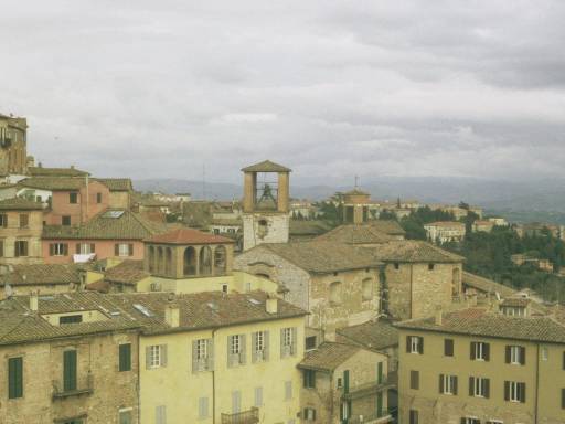 ImageImage0033.web.jpg