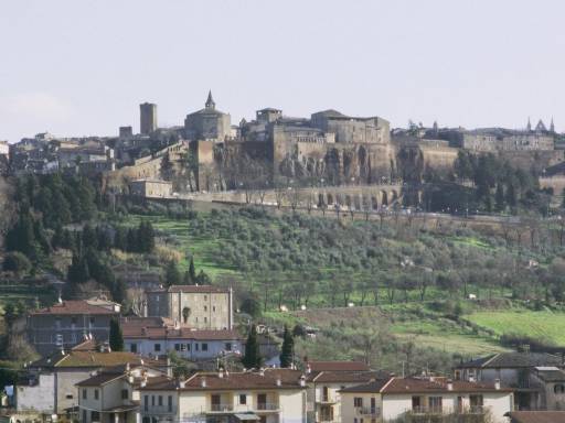 ImageImage0050.web.jpg
