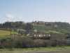 [thumbnail of Picture 16]