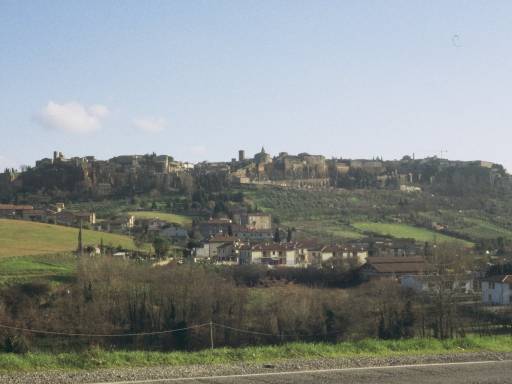 ImageImage0051.web.jpg