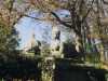 [thumbnail of Picture 21]