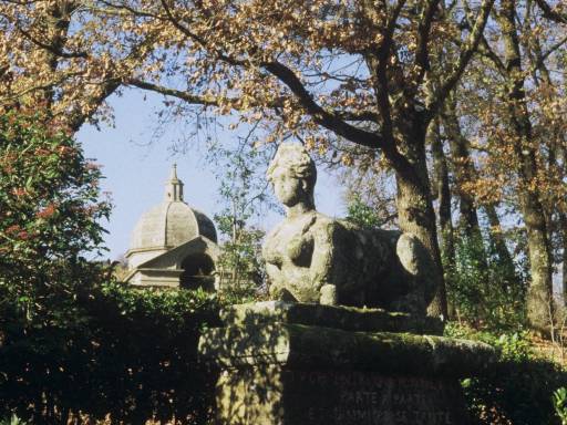 ImageImage0056.web.jpg