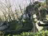 [thumbnail of Picture 32]