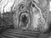[thumbnail of Picture 4]
