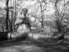 [thumbnail of Picture 8]