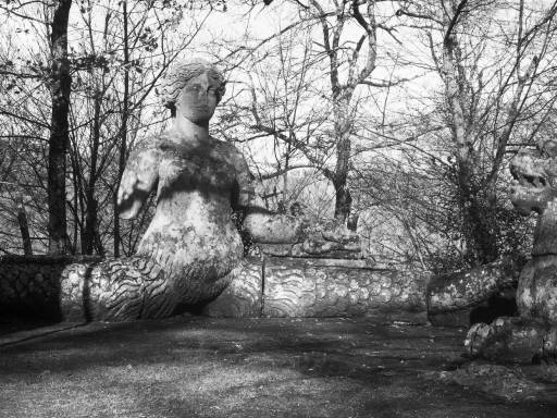 ImageImage0079.web.jpg