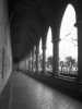 [thumbnail of Picture 25]