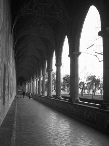 ImageImage0096.web.jpg