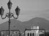 [thumbnail of Picture 30]