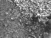 [thumbnail of Picture 4]