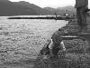 [thumbnail of Picture 12]