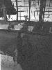 [thumbnail of Picture 29]