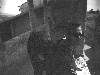 [thumbnail of Picture 30]