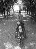 [thumbnail of Picture 36]