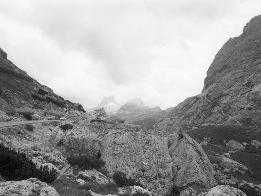 Image2511.web.jpg