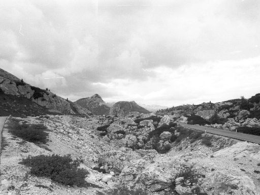 Image2513.web.jpg