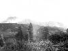 [thumbnail of Picture 4]