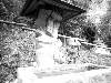 [thumbnail of Picture 5]